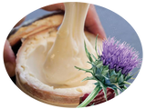 Torta del Casar Cheese: Always Among the Best in the World | Queso Torta del Casar: Siempre entre los mejores del mundo