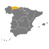 Valdeon Blue Cheese Intense  | Queso Valdeon  de Vaca y Cabra