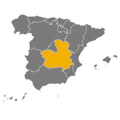 Manchego Semi Cured Sheep Cheese P.D.O | Queso  Manchego D.O.P. Semi Curado de Oveja