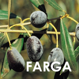 Extra Virgin Olive Oil L'Unic Farga 1000 Years | Aceite de Oliva Virgen Extra  L'Unic Farga 1000 Years