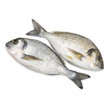 Farmed Seabream - Dorada Cultivo Marino (Spain)