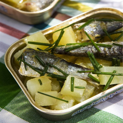 Spiced Small Sardine Petinga in Extra Virgin Olive Oil JOSE Gourmet 90g Tin | Sardinillas Petinga Picantes JOSE Gourmet 90g Tin