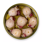 Galician Octopus in Olive Oil La Brujula 130g | Pulpo Gallego en Aceite de Oliva La Brújula 130 g