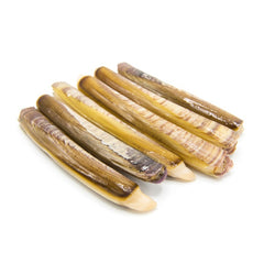 Razor Clams - Navaja  Fresh (Spain)