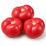 Fresh tomato with tomato flavour Ripe (Soft)