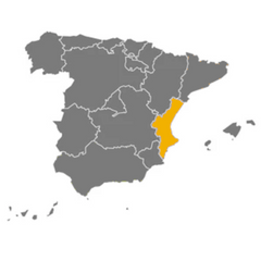 Extra Virgin Olive Oil Picual Early Harvest L'Unic | Aceite de Oliva Virgen Extra Picual Cosecha Temprana