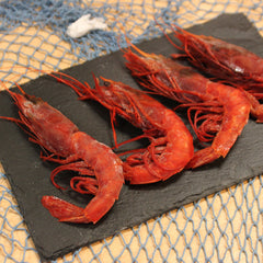 Wild Carabinero  20-25 PC per KG (Spain) | Carabinero Salvaje 20-25 Uds/kg (España)