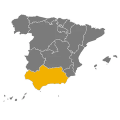 Extra Virgin Olive Oil Acebuchina Mergaoliva | Aceite de Oliva Virgen Extra Acebuchina Mergaoliva