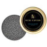 Beluga Iran Real Caviar | Beluga Irani Real Caviar