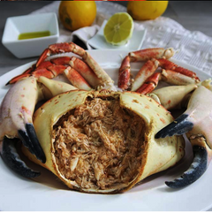 Brown Crab - Buey de Mar Galicia Fresh (Spain)