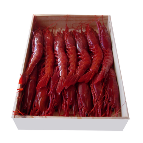 Wild Carabinero 16-20 Pc/kg 1 Kg |Carabinero Salvaje 16-20 Pc/kg 1 Kg