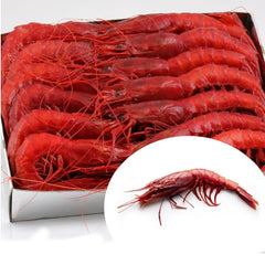 Wild Carabinero  20-25 PC per KG (Spain) | Carabinero Salvaje 20-25 Uds/kg (España)