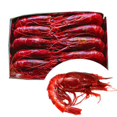 Wild Carabinero 10-12 Pc. - 1 Kg (Spain) | Carabinero Salvaje 10-12 Uds - 1 Kg (España)