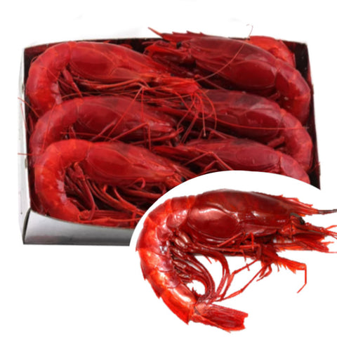Wild Carabinero 8-10 PC per Kg (Spain - Frozen) | Carabinero Salvaje 8-10 PC per Kg (España- Congelado)
