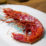 Wild Carabinero 8-12 PC per 1 Kg (Spain - Frozen) | Carabinero Salvaje 8-12 Uds - 1 Kg (España - Congelado)
