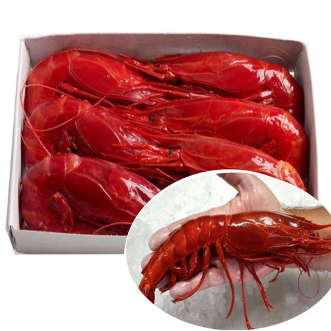 Large Wild Carabinero  6-9 PC per Kg ( Spain - Frozen) | Carabinero Salvaje Grande 6-9 Uds per kg (España - frozen)
