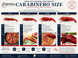 Large Wild Carabinero  6-9 PC per Kg ( Spain - Frozen) | Carabinero Salvaje Grande 6-9 Uds per kg (España - frozen)