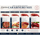 Wild Carabinero 8-12 PC per 1 Kg (Spain - Frozen) | Carabinero Salvaje 8-12 Uds - 1 Kg (España - Congelado)