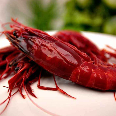 Wild Carabinero 8-10 PC per Kg (Spain)| Carabinero Salvaje 8-10 Uds./ Kg (España)