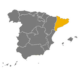 Arbequina Extra Virgin Olive Oil Ester Sole | Aceite de oliva extra virgen Arbequina Ester Solé - La despensa