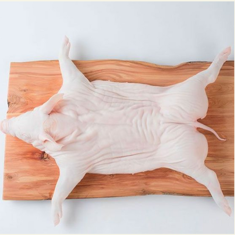 Frozen Suckling Pig Whole Carcass  3-4 Kg Vacuum.  | Cochinillo congelado  al vacío Aprox.3.5 Kg
