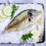 Farmed Seabream - Dorada Cultivo Marino (Spain)