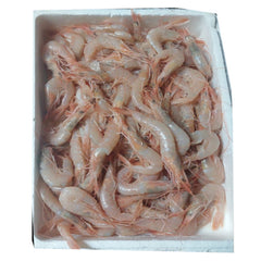 Shrimps - Gamba blanca Frozen