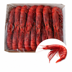 Frozen Gambero Rosso 28-33 Pc/Kilo | Gamba Roja 28-33 Pc/kilo