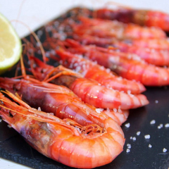 Frozen Gambero Rosso 28-33 Pc/Kilo | Gamba Roja 28-33 Pc/kilo