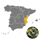 Extra Virgin Olive Oil L'Unic Old Fargus 2000 Premium | Aceite de Oliva Virgen Extra  L'Unic Old Fargus 2000 Premium