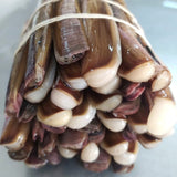 Razor Clams - Navajas Gallegas  Fresh (Spain)