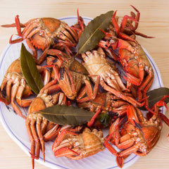 Velvet Swim Crab - Necora Galicia Fresh (Spain)