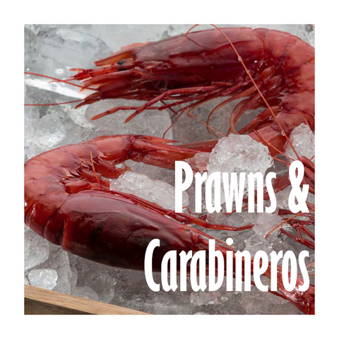 Prawns & Carabineros | Gambas y Carabineros