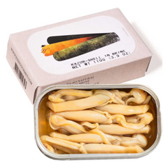 Razor-Clams in Brine (6/8 pcs) JOSE Gourmet 110g Tin | Navajas al Natural (6/8 pcs) JOSE Gourmet 110g