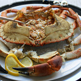 Brown Crab - Buey de Mar Galicia Fresh (Spain) - La despensa