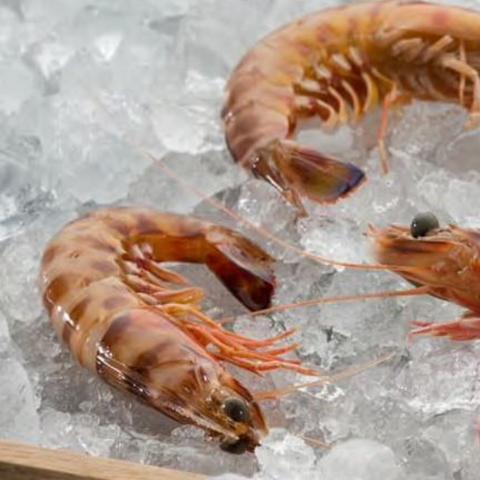 Sanlucar Tiger Prawns Hispamare|Langostinos de Sanlucar Congelado Hispamare