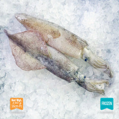 Wild Caught Squid 100-200 g per pc|Calamar Salvaje 100-200 g per pc